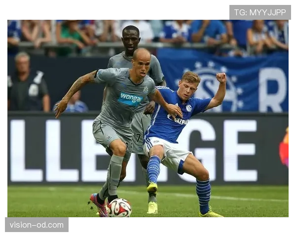 里尔足球俱乐部赛季主场防守稳固,前段赛程多次实现零封对手 里尔足球俱乐部赛季主场防守稳固,前段赛程多次实现零封对手